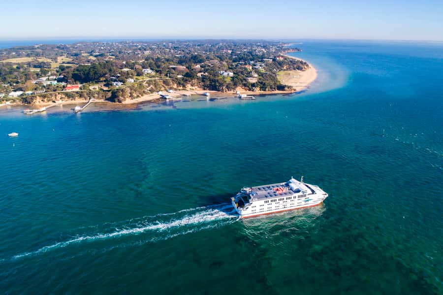 From Melbourne: Bay Sightseeing and Ferry Ride with Lunch - A bay-hopping day trip that actually feels like a trip