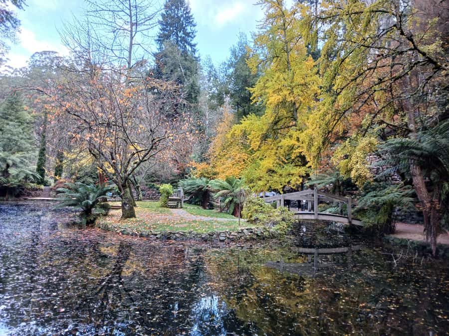 From Melbourne: Dandenong Ranges Private Day Tour - Price and value: paying for guidance, not just entry tickets