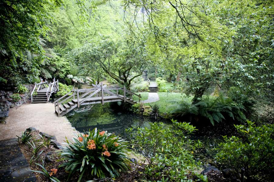 From Melbourne: Dandenong Ranges Private Day Tour - When your guide times the day for comfort and shade