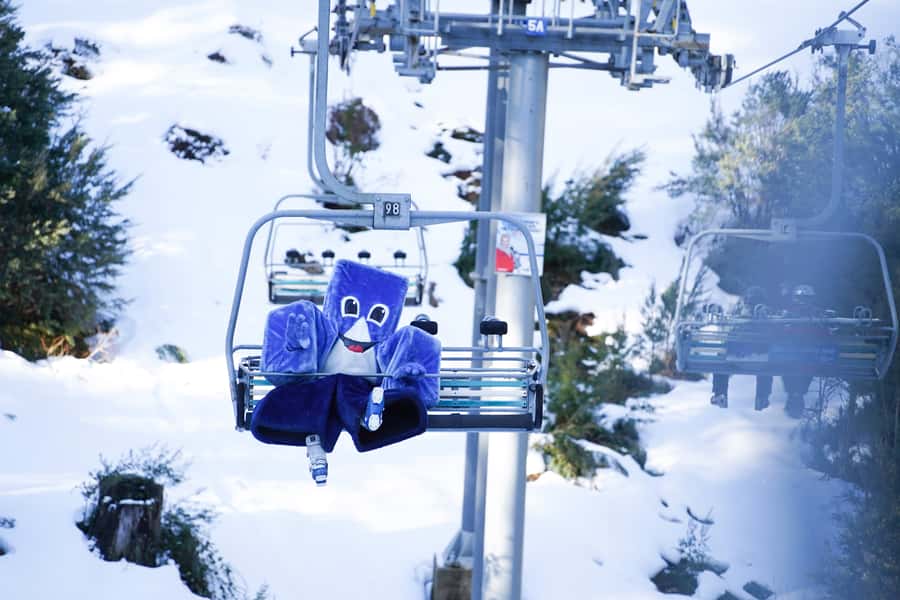 From Melbourne: Day Trip to Mt Buller by Premium Tour Coach - The Drive Up from Melbourne: Donnybrook Views and a Long, Scenic Stretch