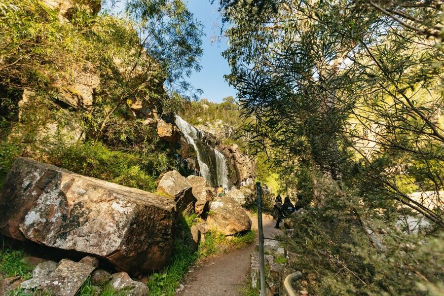 From Melbourne: Grampians National Park Group Tour - Price and Value for $102, What Feels Included and What You Must Plan