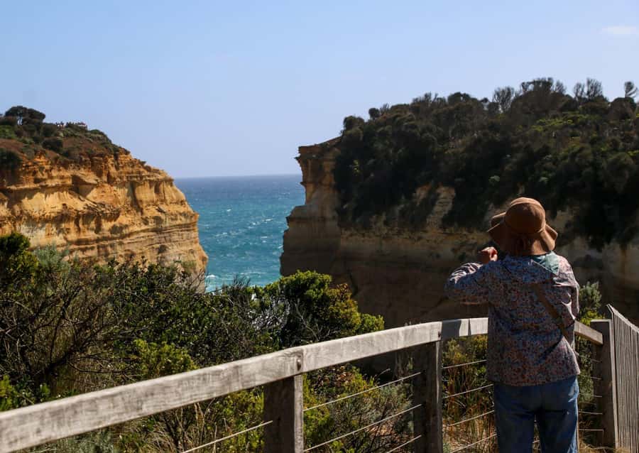 From Melbourne: Great Ocean Road & 12 Apostles Full-Day Tour - Melba Gully guided bush walk: the 30 minutes that feel like a reset