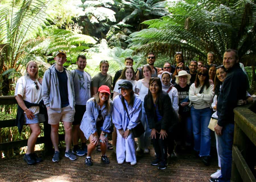 From Melbourne: Great Ocean Road & 12 Apostles Full-Day Tour - Loch Ard Gorge: cliffs, shipwreck stories, and that dolphin possibility