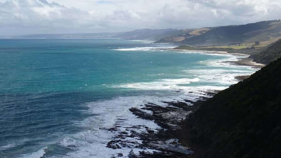 From Melbourne: Great Ocean Road, 12 Apostles, Wildlife Tour - Rainforest walk and tall-tree views you can feel