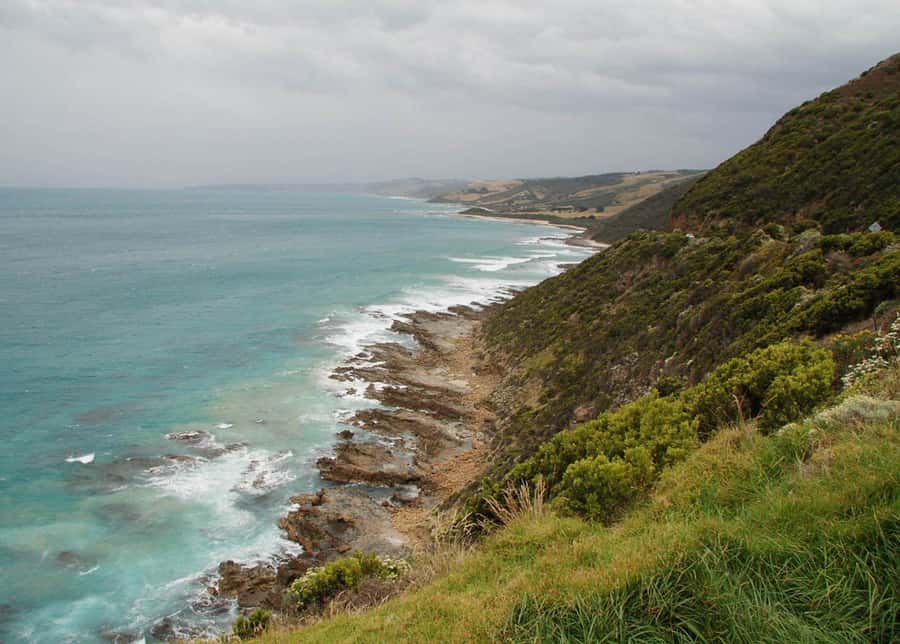 From Melbourne: Great Ocean Road Day Tour - 12 Apostles: what to expect at the world-famous limestone views