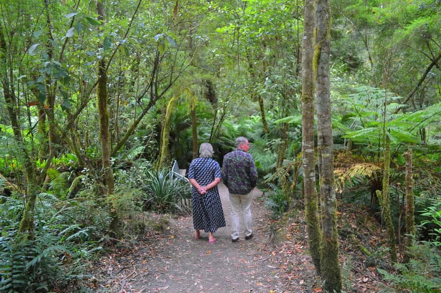 From Melbourne: Great Ocean Road Day Trip with Dinner - Kennett River: wildlife viewing and dinner at the same stop