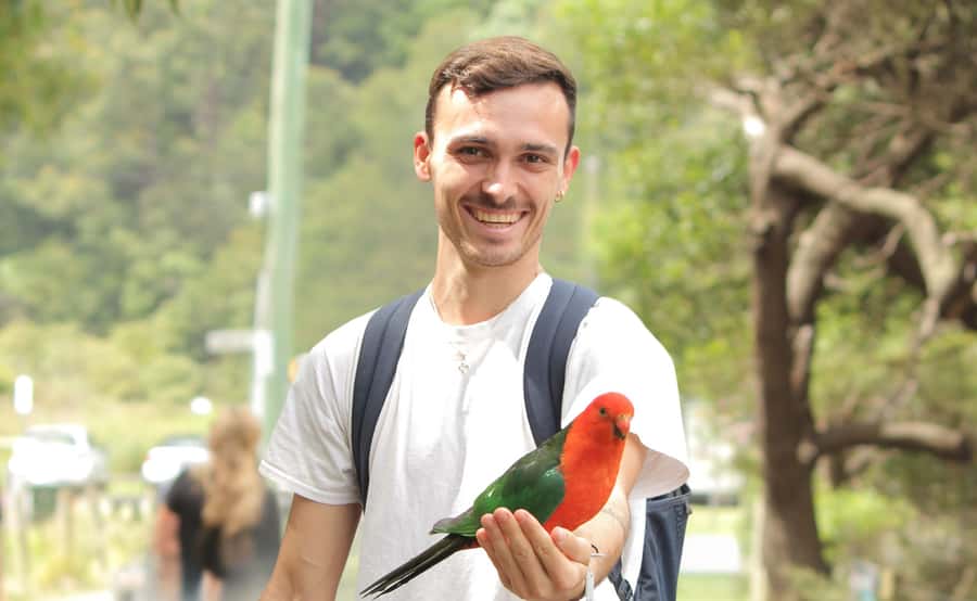 From Melbourne: Great Ocean Road Full-Day Guided Trip - Key highlights you should actually care about
