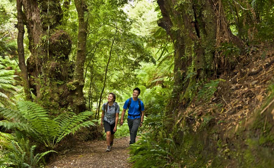 From Melbourne: Great Ocean Road Full-Day Guided Trip - Price and value: is $98 actually fair?