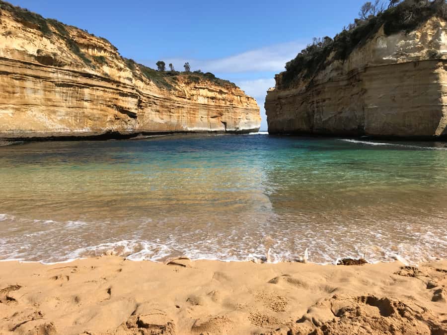 From Melbourne: Great Ocean Road Premium Tour in Reverse - Great Otway National Park: 20 minutes that reset the whole day