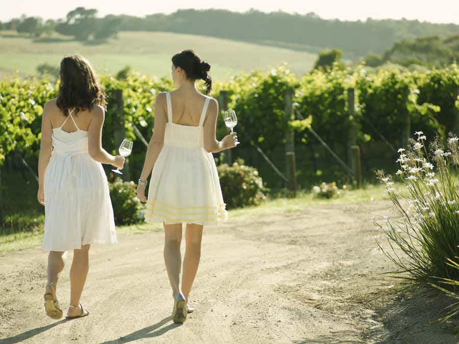 From Melbourne: Mornington Peninsula Food & Wine Taste Trail - A day built for taste, views, and zero driving stress