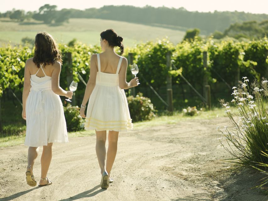 From Melbourne: Mornington Peninsula Food & Wine Taste Trail - Beach boxes, your final coastal photo stop