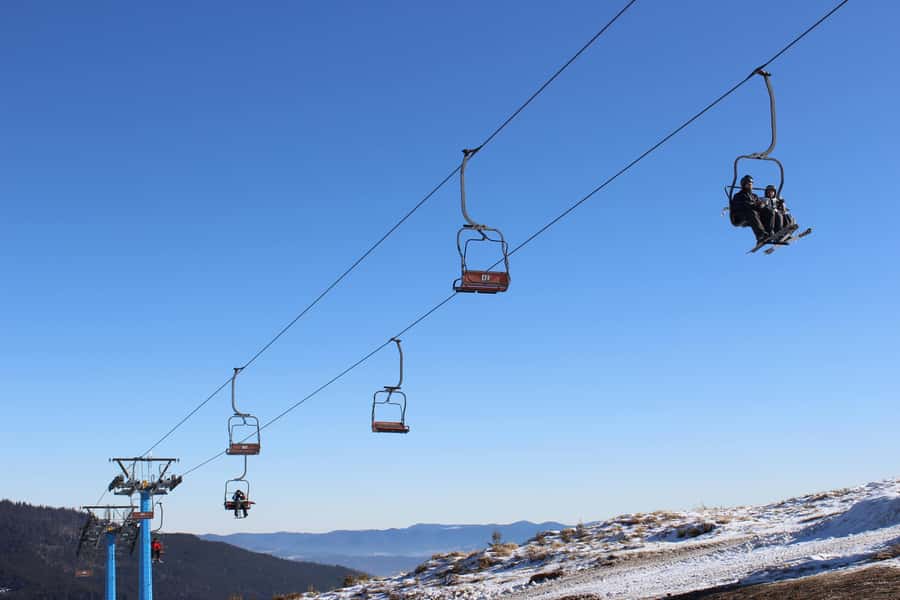 From Melbourne: Mt Buller Scenic Snow Getaway Day Tour - Why Mt Buller works for a Melbourne snow day