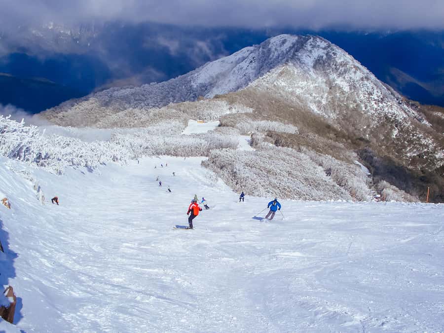 From Melbourne: Mt Buller Scenic Snow Getaway Day Tour - 6 hours on Mt Buller: snow play, beginner time, and views