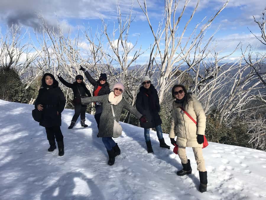 From Melbourne: Mt Buller Snow Day Small Group Boutique Tour - Key Highlights at a Glance