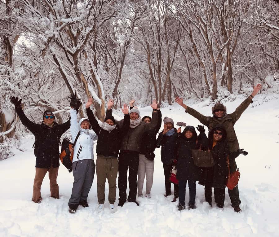 From Melbourne: Mt Buller Snow Day Small Group Boutique Tour - Horse Hill Car Park: Where the Day Splits Into Snow Plans