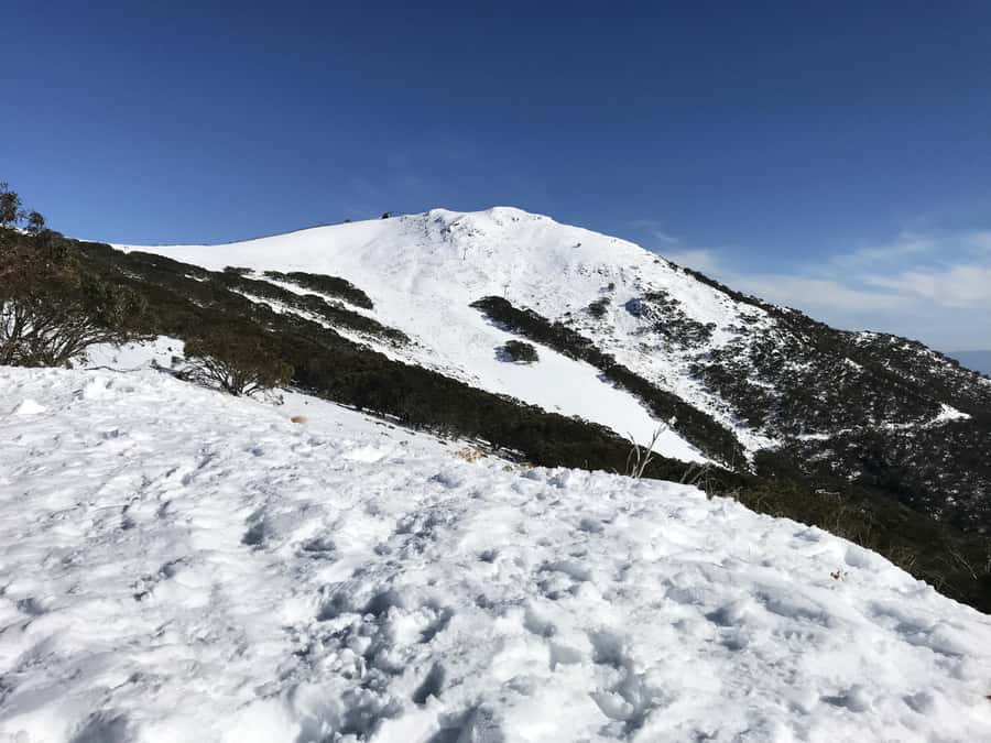 From Melbourne: Mt Buller Snow Day Small Group Boutique Tour - Tobogganing at Two Snowplay Spots: Play Twice, Laugh More
