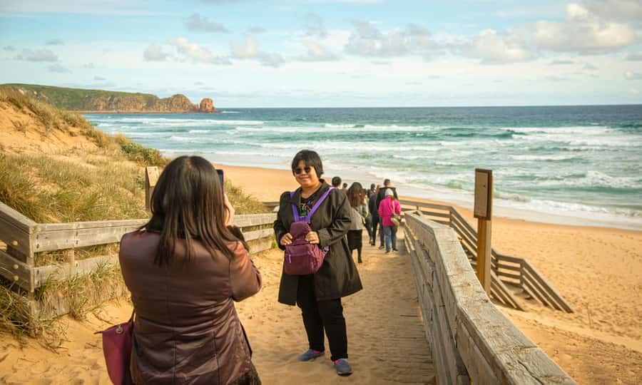 From Melbourne: Penguin Parade Afternoon Tour - Should you book it?