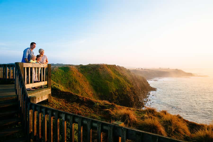 From Melbourne: Penguin Parade and Koalas Tour - Key things to know before you go