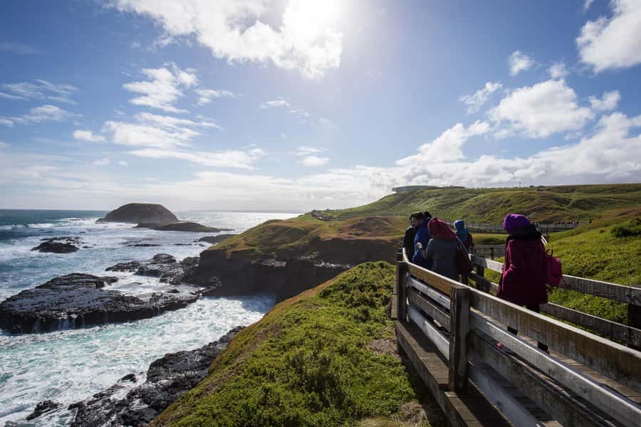 From Melbourne: Penguin Parade, Koalas & Kangaroos - Phillip Island Penguin Parade: the highlight, the crowd, and how to get the best view