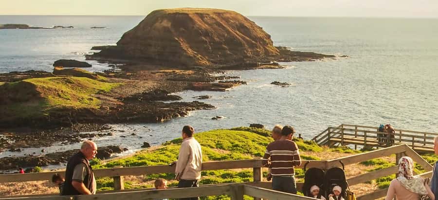 From Melbourne: Penguin Parade, Koalas & Kangaroos - What I’d pack for this day, especially for cold coastal nights