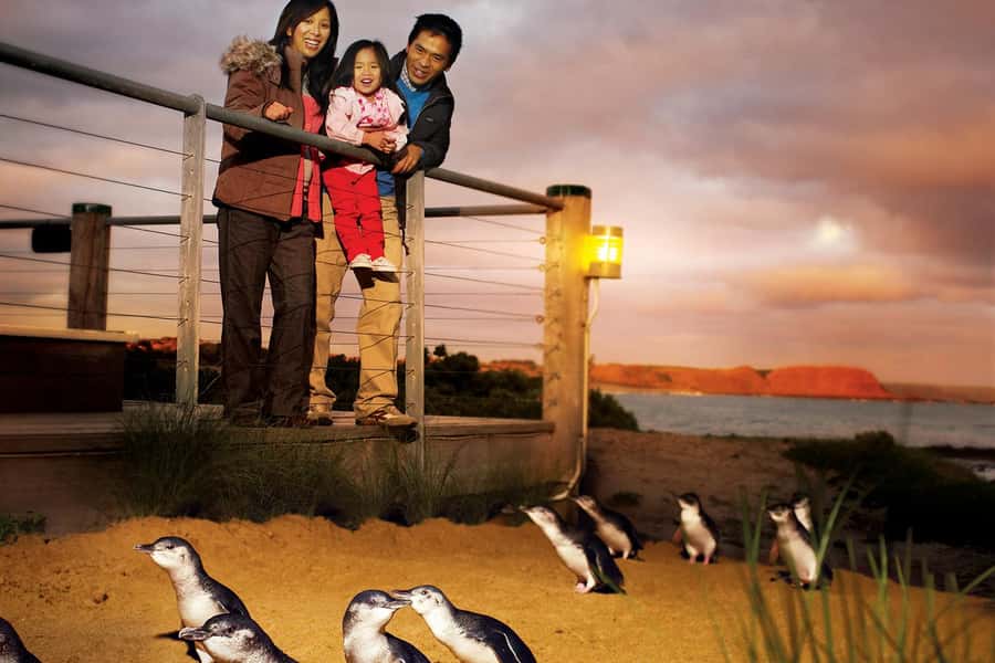 From Melbourne: Phillip Is Penguin Parade & Koala Reserve - Cape Woolamai Beach, Where You Watch Surfers and Feel the Shore