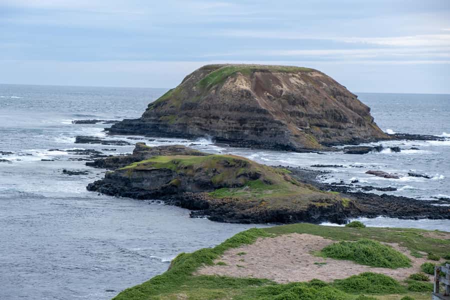 From Melbourne: Phillip Island and Penguin Parade Day Tour - Best Fit: Who Should Join This Phillip Island Penguin Day Trip?