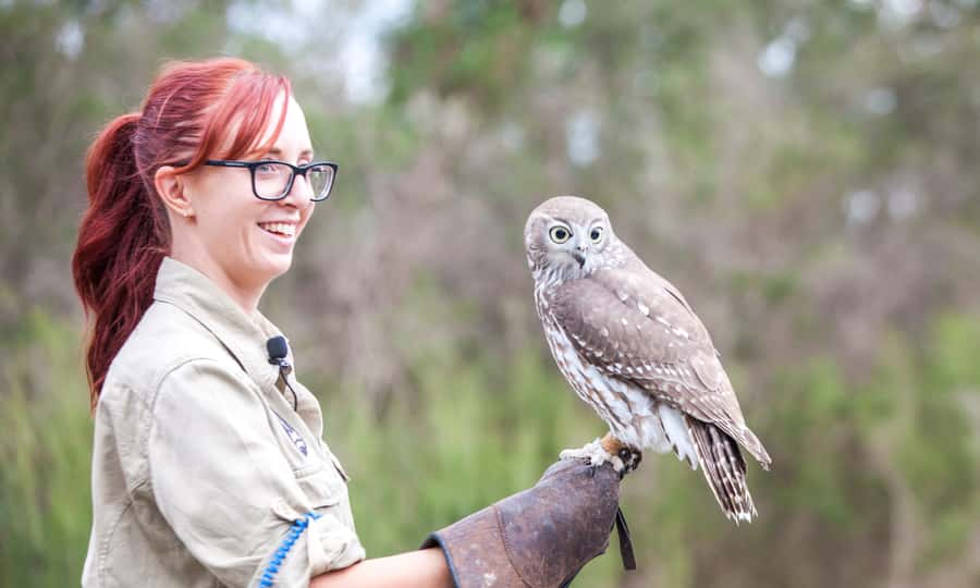 From Melbourne: Phillip Island Penguin Parade Eco Tour - Food, Onboard Comfort, and What to Bring for a 12-Hour Wildlife Day
