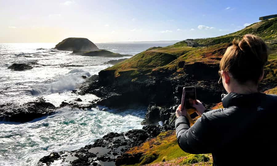 From Melbourne: Phillip Island Penguin Parade Eco Tour - Price and Value: Is $109 Worth It for This Much Wildlife Time?