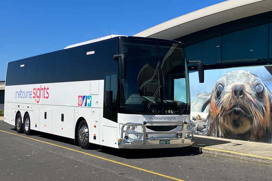 From Melbourne: Phillip Island Penguin Parade Express Tour - Wildlife along the route, and how the guide turns sightings into stories