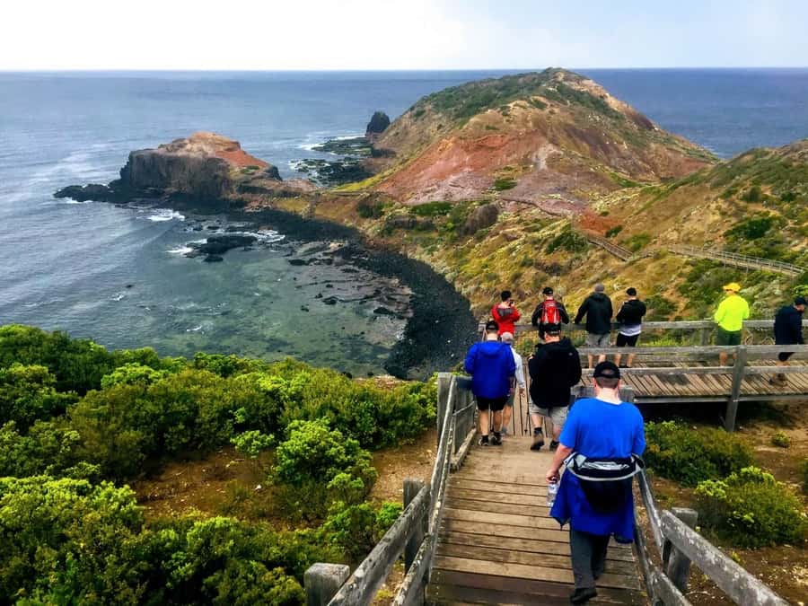From Melbourne: Phillip Island Penguin Parade Private Tour - Key Highlights Worth Your Time