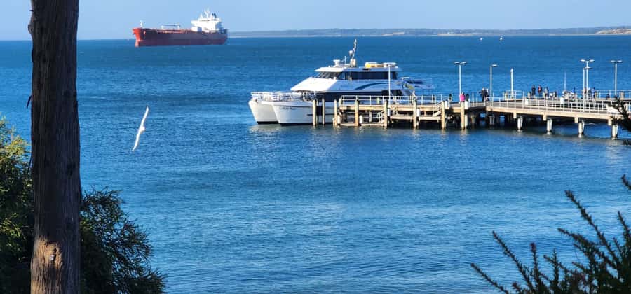 From Melbourne: Phillip Island Penguin Parade Private Tour - Coastal Stops and the Sea Views on Phillip Island