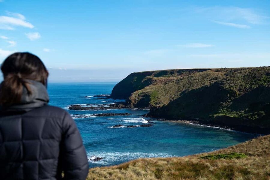 From Melbourne: Phillip Island Penguin Plus - Grandstand - From Southern Cross Station to Bass Coast Highway views