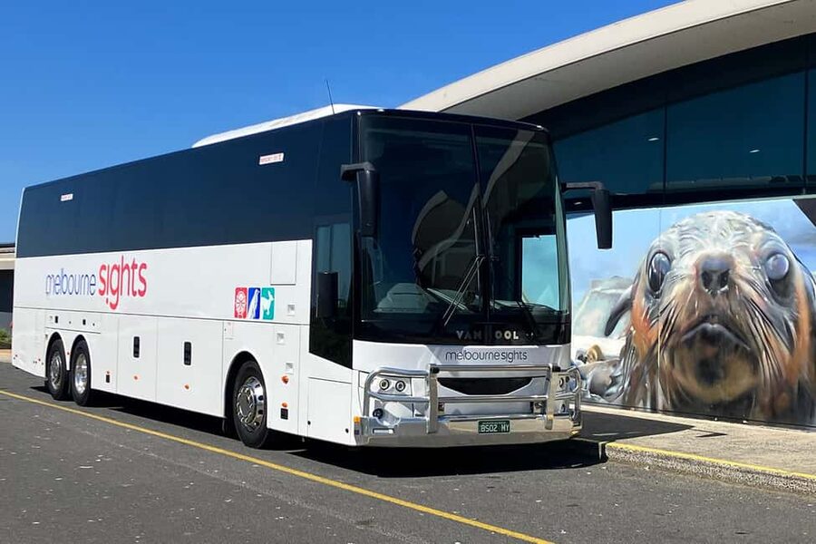 From Melbourne: Phillip Island Penguin Plus - Grandstand - Price and value at around $131 per person