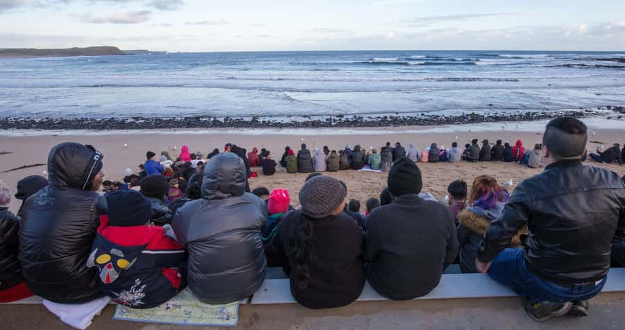 From Melbourne: Puffing Billy and Penguin Parade Combo Tour - Phillip Island Penguin Parade, sunset is the game plan