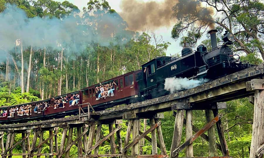 From Melbourne: Puffing Billy & Penguins Combo Tour Package - Key highlights you should care about