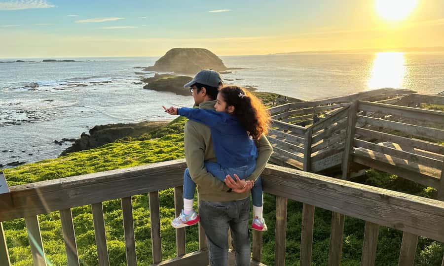 From Melbourne: Puffing Billy & Penguins Combo Tour Package - The Nobbies boardwalks: ocean views and the fur-seal bonus