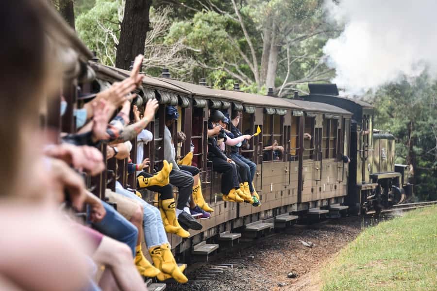 From Melbourne: Puffing Billy Steam Train & Wildlife Tour - Key things that make this tour worth your time