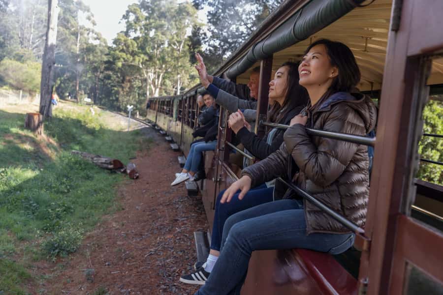 From Melbourne: Puffing Billy Steam Train & Wildlife Tour - The Dandenong Ranges rainforest ride: why this route is more than just a novelty