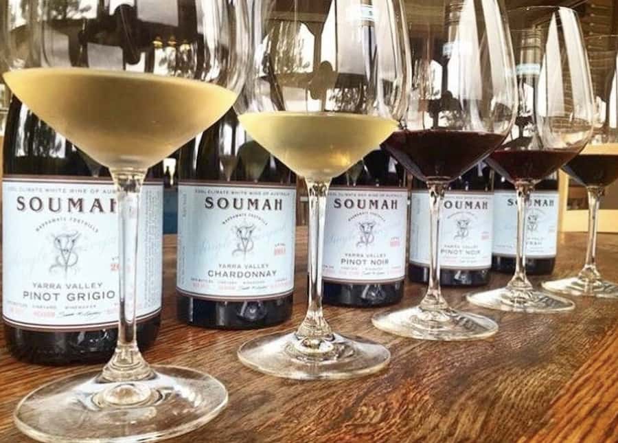 From Melbourne: Redwoods Forest & Yarra Valley Wine Tour - Key things to notice before you book