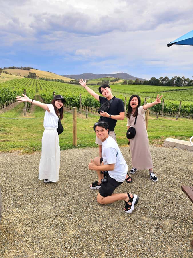 From Melbourne: Redwoods Forest & Yarra Valley Wine Tour - Forest cathedrals to wine views: why this day trip works