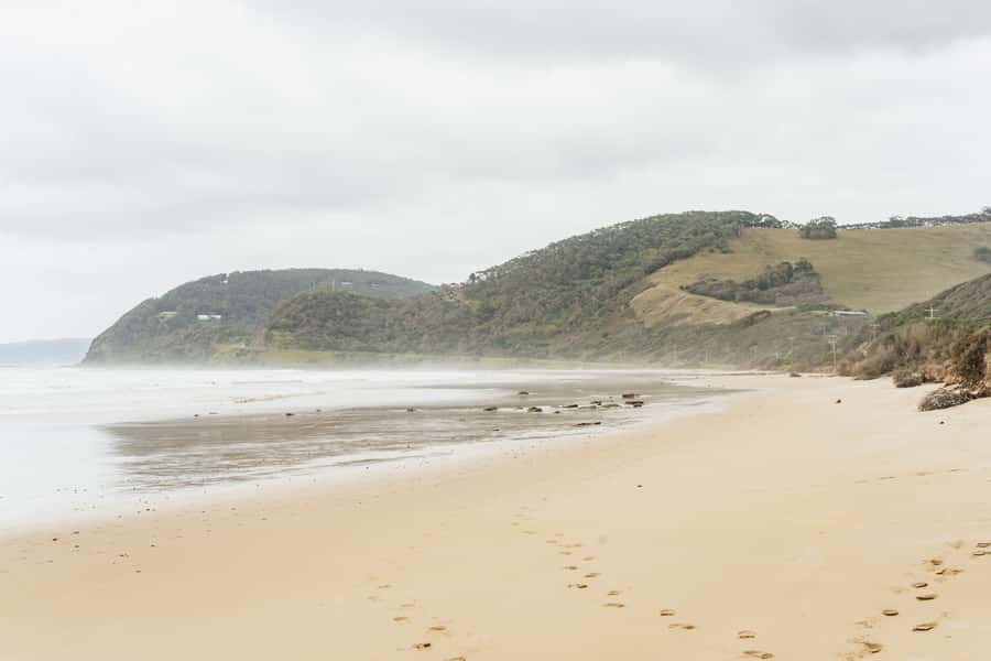 From Melbourne: Small-Group Great Ocean Road Day Trip - Wildlife spotting with a guide: koalas, kangaroos, and birds