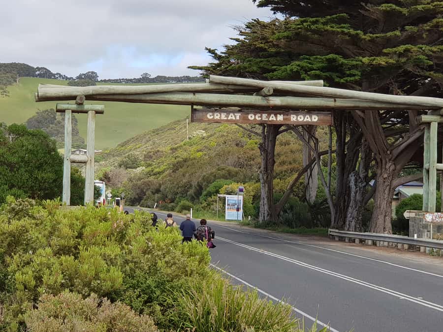 From Melbourne: Ultimate 2-Day Great Ocean Road Tour - Day 2: Green Coast Rainforest, Lavers Hill, and All 9 Shipwreck Coast Lookouts