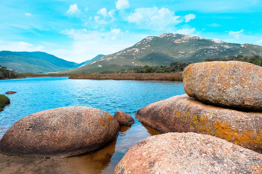From Melbourne: Wilsons Promontory Small Group Day Tour - Hike through the park to The Big Drift dunes