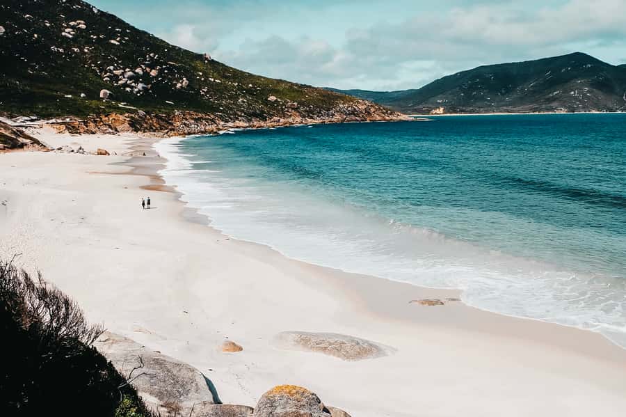 From Melbourne: Wilsons Promontory Small Group Day Tour - Wildlife stop: wombats, emus, kangaroos, and wallabies