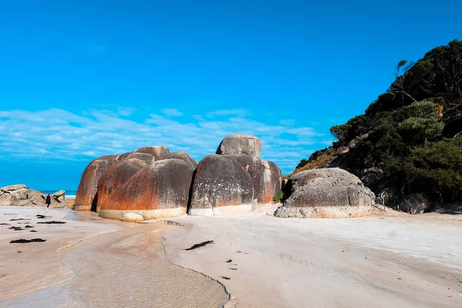 From Melbourne: Wilsons Promontory Small Group Day Tour - Timing, pacing, and what the day feels like on your body