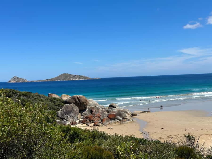 From Melbourne: Wilsons Promontory Wilderness Tour - Key highlights worth getting excited about