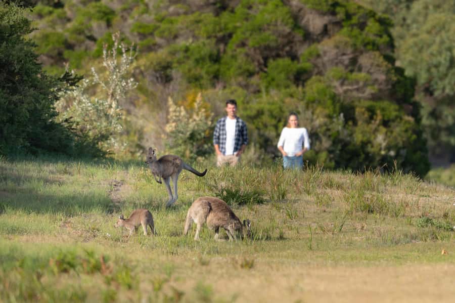 From Melbourne: Wilsons Promontory Wilderness Tour - Self-guided hike options at Mt Oberon, Mt Bishop, or Lilypilly