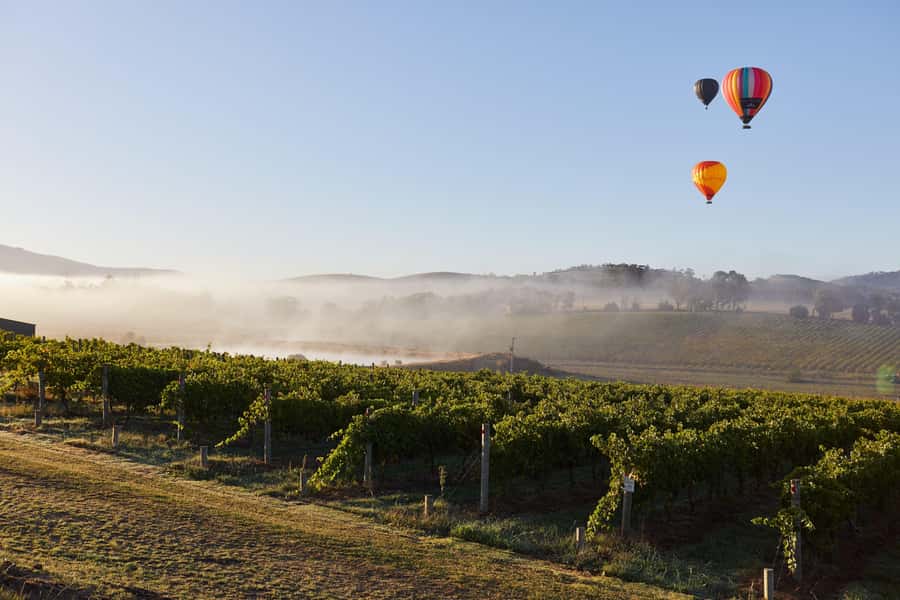 From Melbourne: Yarra Valley Hop-On-Hop-Off Bus Ticket - Driver energy and audio guide support: what makes the ride feel easy