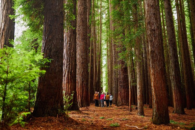 Fruit Picking & Nature Private Tour Yarra Valley & Warburton - Key highlights at a glance