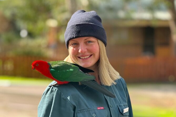Full-Day Great Ocean Road and 12 Apostles Sunset Tour from Melbourne - What you are paying $99.70 for, and what to budget extra